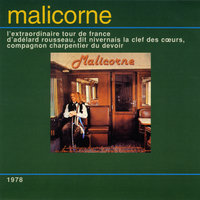Une fille dans le désespoir - Malicorne