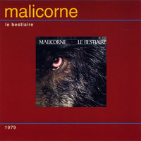 Les transformations - Malicorne