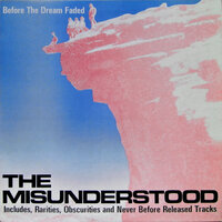 I'm Not Talking - The Misunderstood