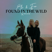 Wild Skies - Eli & Fur, Marsh