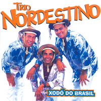 Procurando Tu - Trio Nordestino
