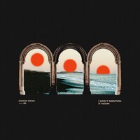 I Won't Mention It Again - Donovan Woods