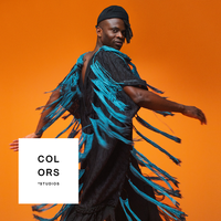 Figurine - A COLORS SHOW - WAYNE SNOW