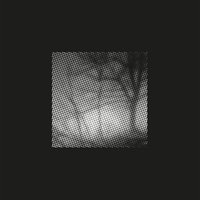 Meine Lieblingslieder - Tua