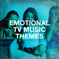 Theme from "The Brady Bunch" - TV Sounds Unlimited