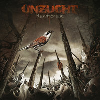 Schlaf - Unzucht