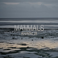 Move Slower - mammals, Flash Forest, Mammals feat. Flash Forest