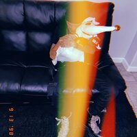 Her And I Are Just The Same - Teqkoi, Motopony