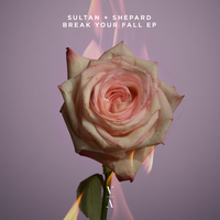 Break Your Fall - Sultan + Shepard, HRRTZ, Liz Cass