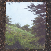 Reflection - Jinsang