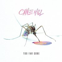 It Follows - Cane Hill