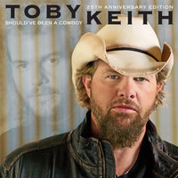 Some Kinda Good Kinda Hold On Me - Toby Keith