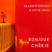 Dieter Meier