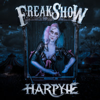 Der schwarze Mann - Harpyie