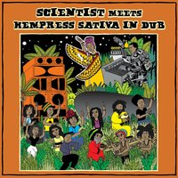Hempress Sativa