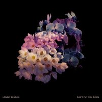 Can't Put You Down - Lonely Benson