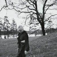 Pahanilmanlinnut - Vesala