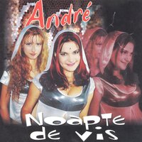 Noapte De Vis - ANDRE