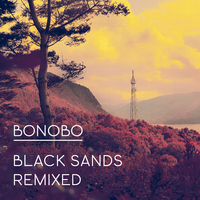 Stay the Same - Bonobo, Andreya Triana, Mark Pritchard