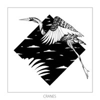 Cranes - Monkey Safari, Kölsch