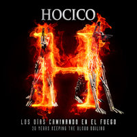 Dissolve Me - Hocico