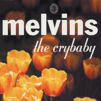 Divorced - Melvins