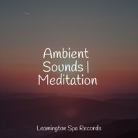 Relaxation - Entspannungsmusik Oase, Nature Sound Series, Meditação Yoga