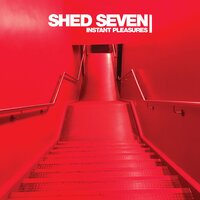 Room in My House - Shed Seven, Youth, Luke Fitzpatrick