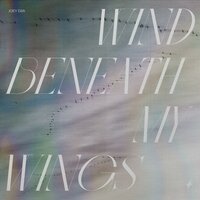 Wind Beneath My Wings - Joey Djia