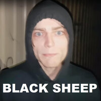 Black Sheep - Wombat
