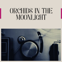 Les Baxter & His Orchestra