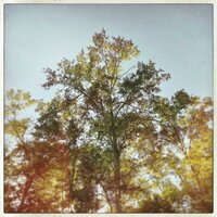 Waiting to Die - Iamjakehill