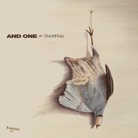 Tonight - And One