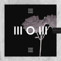 Roses - Snowtown