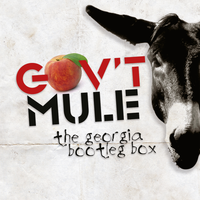 Temporary Saint - Gov't Mule
