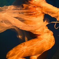 Abyss - Megan McDuffee
