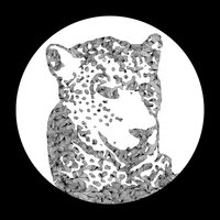 Need Your Lovin - Tensnake