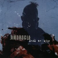 False Freedom - Amduscia