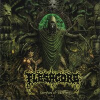 Domain of Death - Fleshgore
