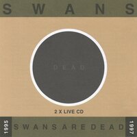 I See Them All Lined Up - Swans