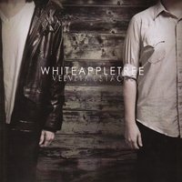 As Seen on Tv - White Apple Tree