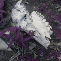 last summer - fats'e