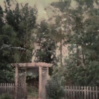 take your time, I don't mind - killedmyself, Familypet