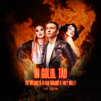 În Golul Tău - The Motans, Olivia Addams, Holy Molly