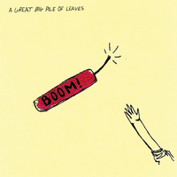 Learning Curves - A Great Big Pile Of Leaves