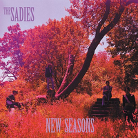 What's Left Behind - The Sadies