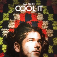 Pretty Lights - Sam Cohen