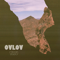 Grab It From The Garden - Ovlov