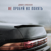 Не пробуй их понять - Диман Брюханов