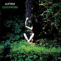 Never Be The Same - Alif Tree